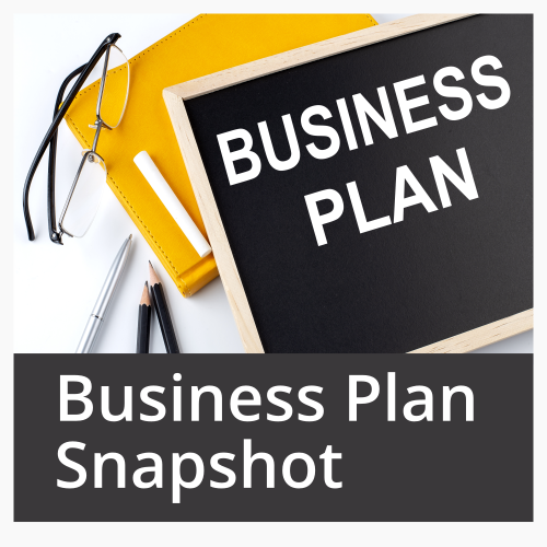 Get your FREE Snapshot Business Plan!